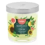 BOLSIUS Floral Fusion kvapioji žvakė stiklinėje, saulėgrąža ir citrusai, Ø80x72mm