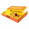 DigiTech Whammy MonoNeon Pitch Shifter, Harmony and Detune efektų pedalas elektrinei gitara ir bosui