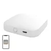 MOES BHUB-W Wi-Fi/Bluetooth Mesh vartai