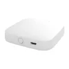 MOES BHUB-W Wi-Fi/Bluetooth Mesh vartai