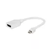 Gembird „Mini DisplayPort“ į „DisplayPort“ adapteris, baltas