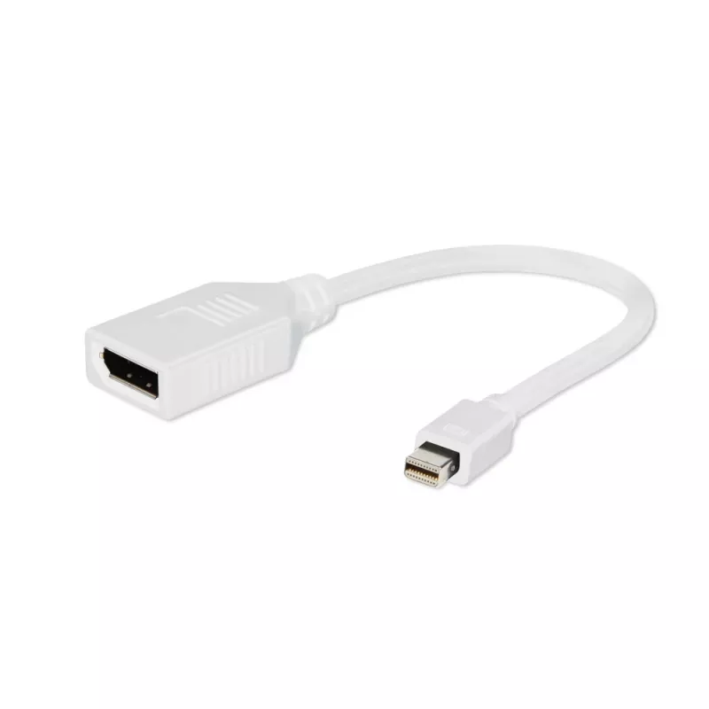 Gembird „Mini DisplayPort“ į „DisplayPort“ adapteris, baltas