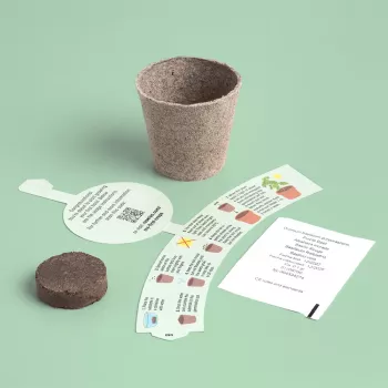 Resetea My First Crops – baziliko auginimo rinkinys (Erst440)