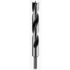 Bosch medienos sukimosi grąžtas 18 mm 2608597193 bendras ilgis 250 mm cilindrinis kotas