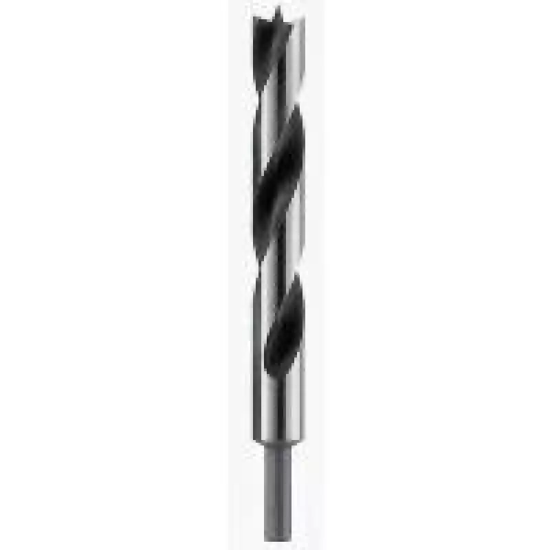 Bosch medienos sukimosi grąžtas 18 mm 2608597193 bendras ilgis 250 mm cilindrinis kotas
