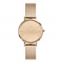 Daniel Wellington DW00100795 moteriškas laikrodis, 28 mm