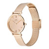Daniel Wellington DW00100795 moteriškas laikrodis, 28 mm