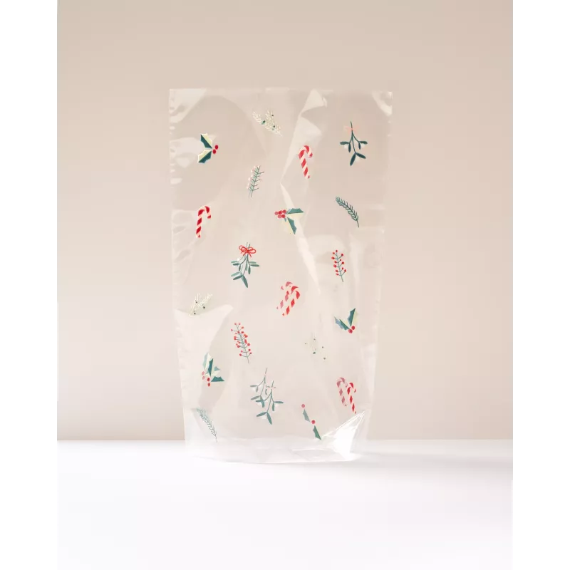 Folia PP maišelis stačiakampiu dugnu A FLORAL CHRISTMAS, 14,5 x 23,5 cm