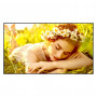 LG 55UL5Q-M 55 colių LCD ekranas, 3840 x 2160, 4K Ultra HD, 16:9