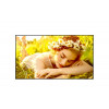 LG 55UL5Q-M 55 colių LCD ekranas, 3840 x 2160, 4K Ultra HD, 16:9