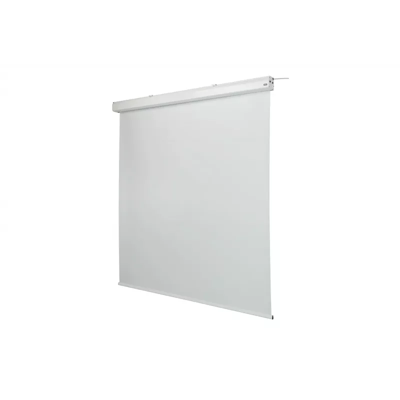 celexon Expert motorizuotas projektoriaus ekranas, 130" (330 cm), 230 V