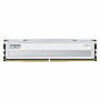Klevv Fit V KD5AGU880-56K300Q DDR5-5600 CL30 16 GB atminties modulis