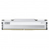 Klevv Fit V KD5AGU880-56K300Q DDR5-5600 CL30 16 GB atminties modulis