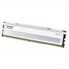 Klevv Fit V KD5AGU880-56K300Q DDR5-5600 CL30 16 GB atminties modulis