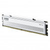 Klevv Fit V KD5AGU880-56K300Q DDR5-5600 CL30 16 GB atminties modulis