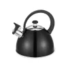 Maestro MR-1302-BLACK elektrinis virdulys, 2,5 l, juodas