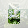 Yankee Candle Clean Cotton kabantis automobilio oro gaiviklis