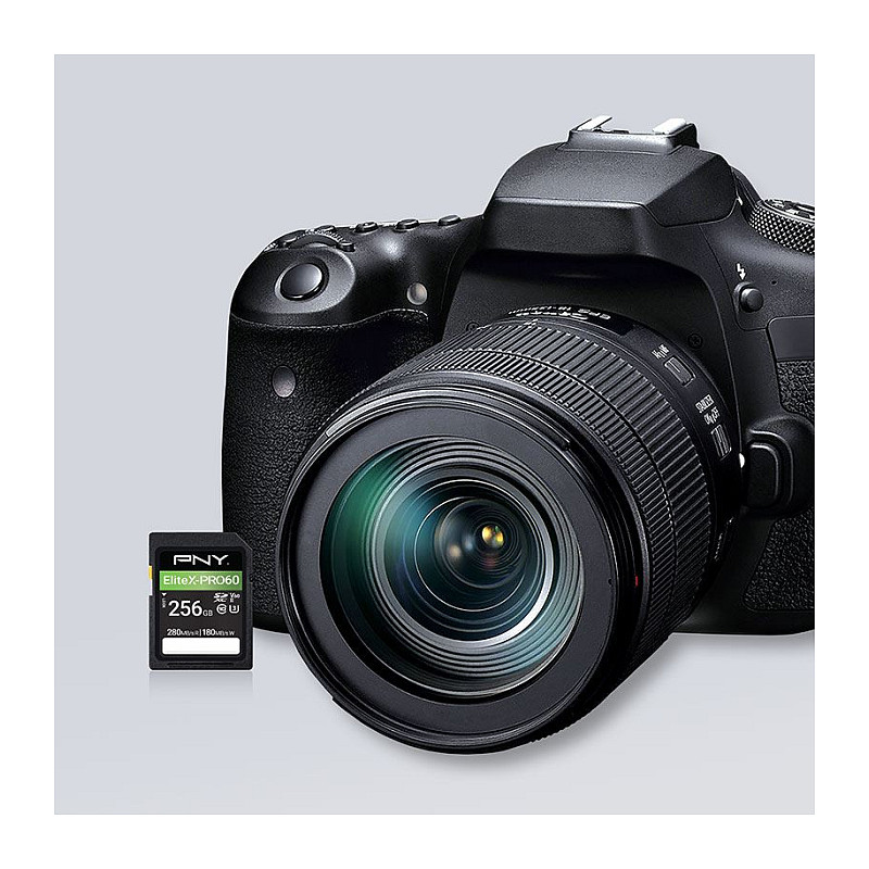 PNY EliteX-PRO60 SDXC atminties kortelė 256 GB, UHS-II, Class 10, P-SD256V60280EXP6-GE