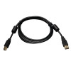 Eaton Tripp Lite Series USB 2.0 A–B kabelis su ferito droseliais (M/M), 1,83 m (6 pėd.), juodas