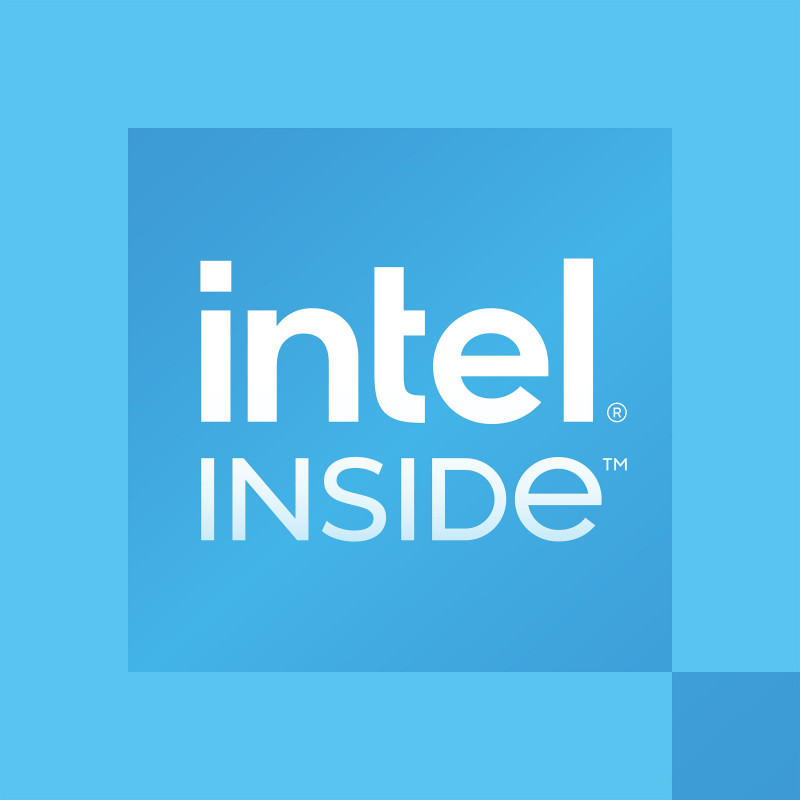 Intel Processor 300, skirtas staliniam kompiuteriui, 3.9 GHz, 2 branduoliai, 4 gijos, 6 MB podėlis, FCLGA1700, OEM (CM8071505091904)