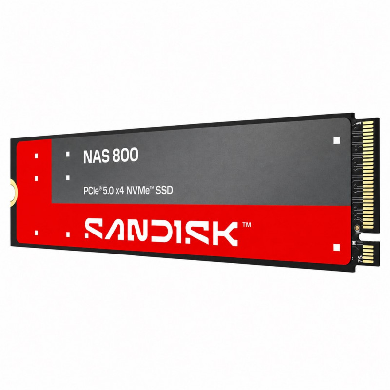 SanDisk NAS 800 1.92 TB M.2 2280 NVMe Gen 5 vidinis SSD (SDSNP2192TAN-000E0)