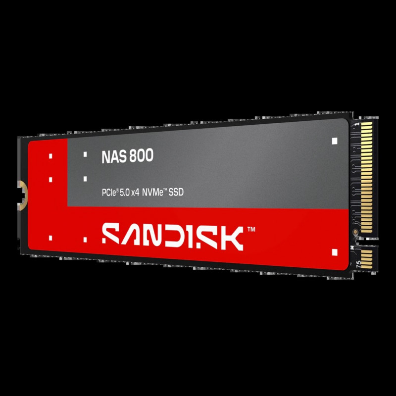 SanDisk NAS 800 960 GB M.2 2280 NVMe Gen 5 vidinis SSD (SDSNP2960GAN-000E0)
