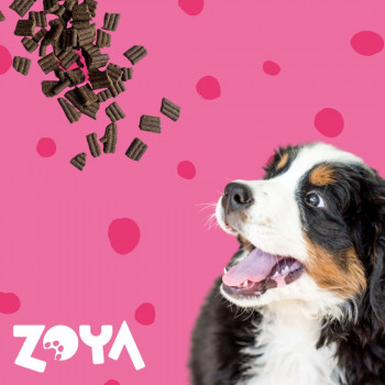 ZOYA ColdPRO Beef sausas šunų maistas, 1 kg