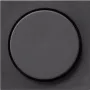 Gira 065028 Dimmer Cover System 55, Standard 55, E2, Event, Event Clear, Event Opaque, Esprit, ClassiX, antracitinis