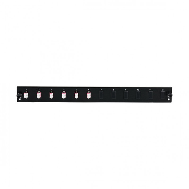 EFB Elektronik SB-FP-6SC-S-OM4 stovo tvirtinimo šviesolaidinė priekinė panelė, 1U, pilka, metalinė, 432 mm