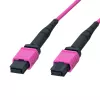 LogiLink MPO sujungimo kabelis 12 gijų OM4, MPO/PC F/F, B tipas, 1 m (FM7LC01)