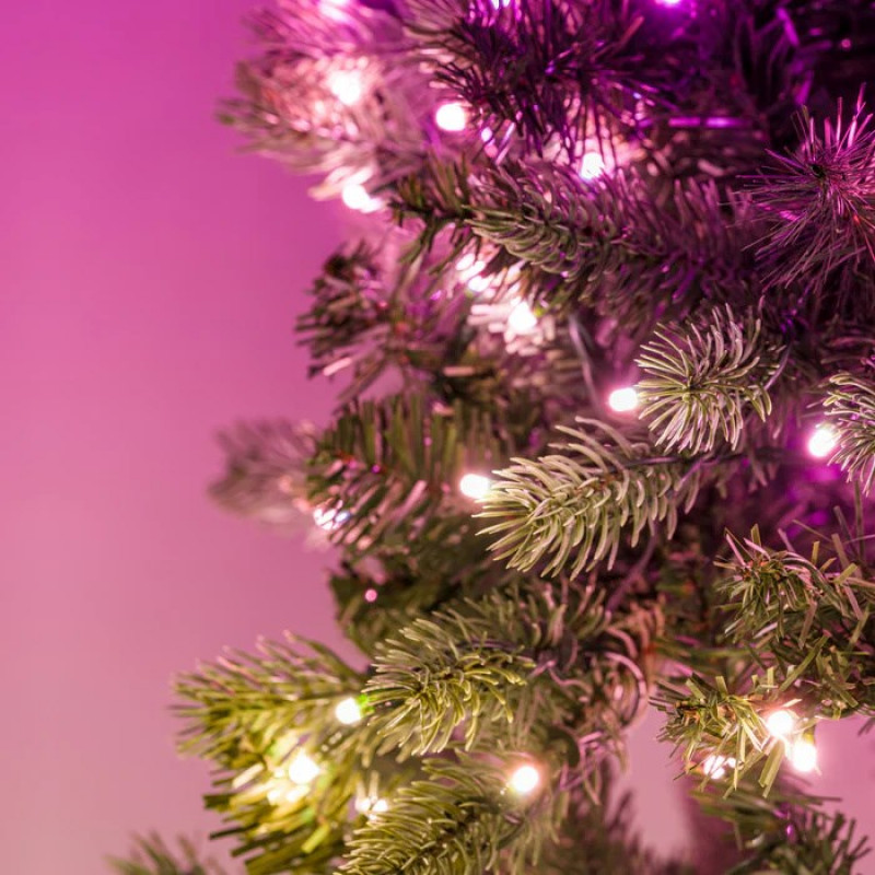 Twinkly iš anksto apšviestas vainikas 50 RGB LED, žalia viela, C tipo kištukas, 60 cm