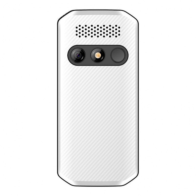 Beafon SL280pro LTE 4G Silver Line didelių mygtukų funkcinis telefonas, juodai baltas
