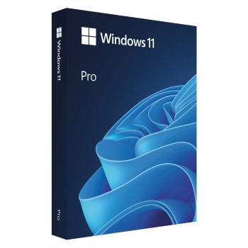 Microsoft Windows 11 Pro BOX, 64-bit, lenkų kalba, USB atmintukas (HAV-00209)