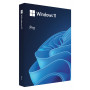 Microsoft Windows 11 Pro BOX, 64-bit, lenkų kalba, USB atmintukas (HAV-00209)