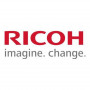 Ricoh D0BN2243 geltonas developeris