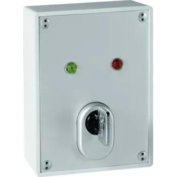 ABUS SE1010 raktų jungiklis - 24V DC, 2 perjungimo kontaktai, IP54, sidabriškai pilkas