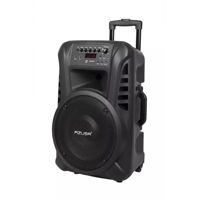 ACTIVE KEY Azusa Active Column (2 mics, SD, Bluetooth, USB) 1