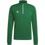 adidas Entrada 22 Treniruočių viršus Vyriškas ilgomis rankovėmis Team Green/White XL