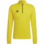 adidas Entrada 22 treniruočių viršus vyriškas megztinis geltonas HI2128 M