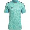 ADIDAS Vyriški Condivo 22 vartininko marškinėliai trumpomis rankovėmis žali HB1618