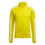 adidas Squadra 21 Treniruočių Vyriškas Džemperis Team Yellow 2XL