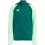 adidas Tiro 23 Competition Treniruočių džemperis Vaikams Team Green HU1314