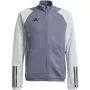 adidas Tiro 23 Competition treniruočių džemperis komandos pilkas keturi/juodas