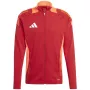 adidas Tiro 24 Competition vyriškas megztinis, raudonai-oranžinis IP1875