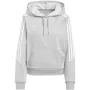 adidas Tiro 24 Megztinis su gobtuvu Pilka IR7509 S