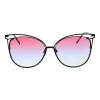 ANA HICKMANN Moteriški akiniai nuo saulės HI3048-5809C Rudi/Auksiniai Gradient 58mm