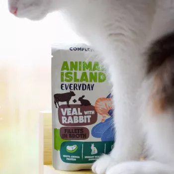ANIMAL ISLAND veršiena / triušiena ir kalakutiena / tuno filė sultinyje šlapias maistas katėms 4x85g