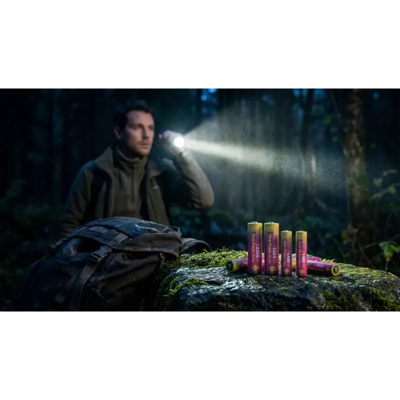 ANSMANN PurePower Set AAA Įkroviklis su 4x AAA 800 mAh NiMH Baterijomis