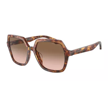 Armani moteriški AR8193U akiniai nuo saulės – Havana acetato rėmelis su rudais gradientiniais lęšiais (55/17/140 mm)