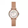 Armani moteriškas laikrodis AR11320 32mm nerūdijančio plieno tinklelio apyrankė kvarcinis